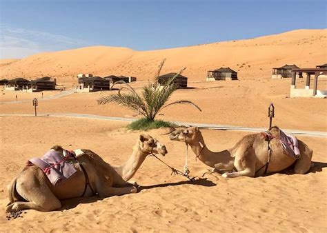 Visit The Wahiba Sands On A Trip To Oman Audley Travel US