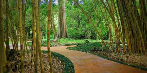 Wahiawa Botanical Garden | Venue, Wahiawa | Price it out