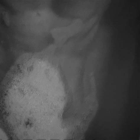 Anal Sex PAWG Big Tits Porn Feat JuiceLussie XHamster