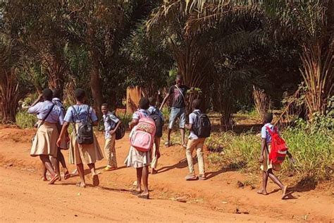 Cette association du Cotentin veut construire une école primaire en Afrique