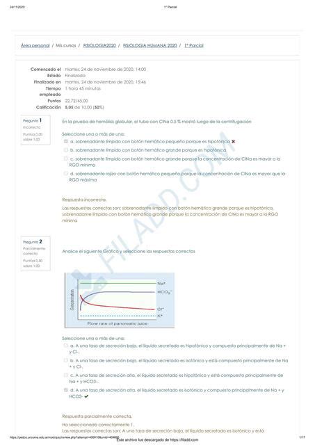 Parcial Corregido Lola Pereira Corvalan Udocz