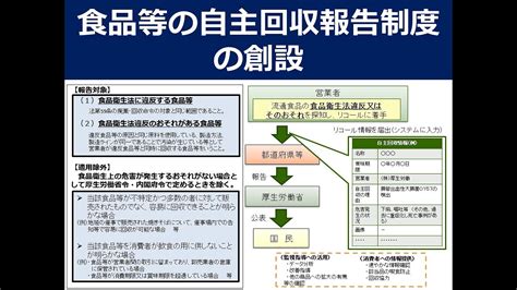 食品等の自主回収報告制度の創設食品衛生法等の一部を改正する法律に基づく政省令等に関する説明会 YouTube