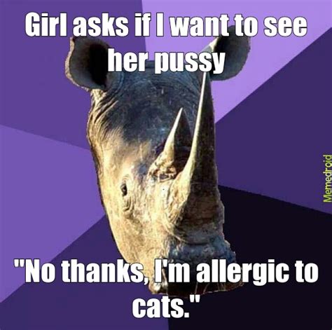 Pussy Cat Meme By Olver Memedroid