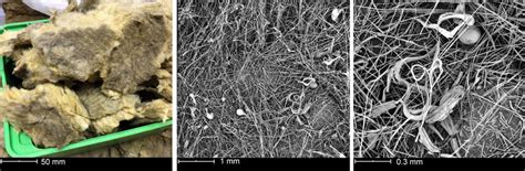 Representative Optical And Sem Images Of Demoliation Mineral Wool Waste