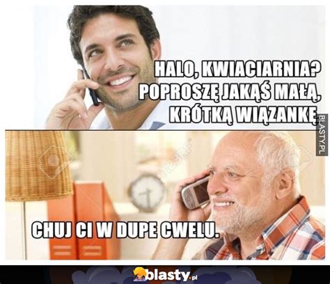 Halo czy to kwiaciarnia memy gify i śmieszne obrazki facebook tapety