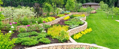 Landscape Design and Installation – When To Hire A Professional ...