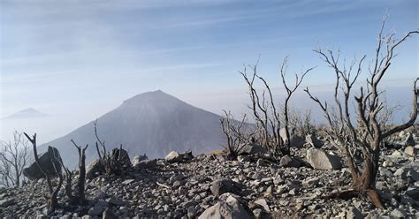 Guide Gunung Sindoro Pemandu Gunung Profesional