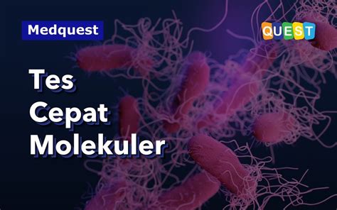 Tes Cepat Molekuler Tcm Deteksi Antimicrobial Resistance Amr