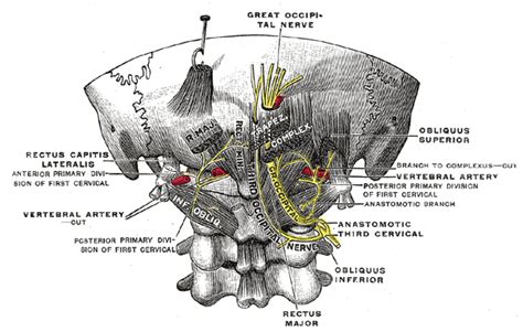 Nerve Block Occipital Wikem