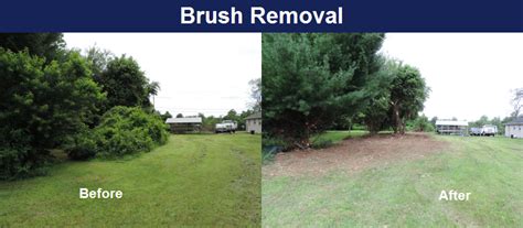 Brush Removal Maryland | Land Clearing Maryland