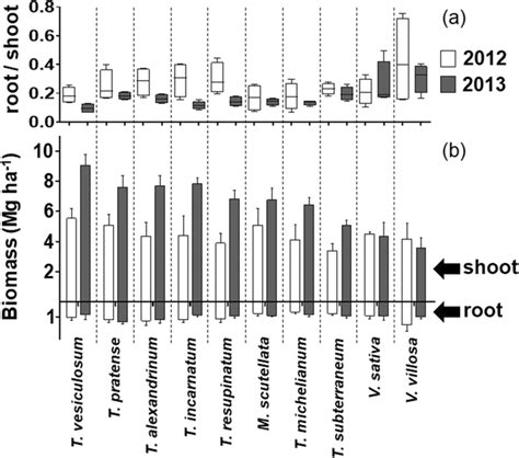 Rootshoot Ratio And Shoot And Root Dry Matter Production Of 10 Legume