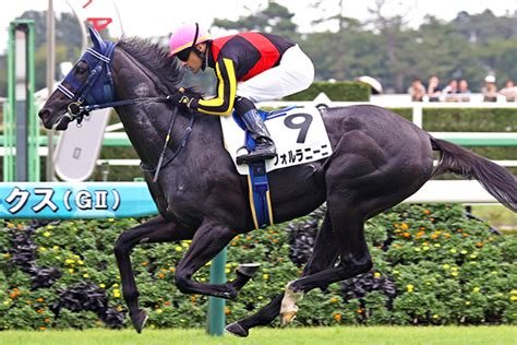 出走馬情報：東京スポーツ杯2歳ステークス 今週の注目レース Jra