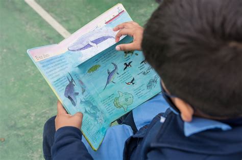 La biblioteca móvil continúa su recorrido en escuelas y colegios de la