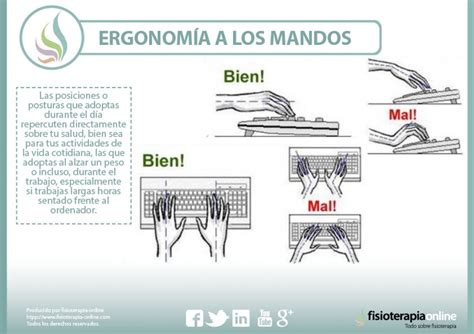 Ergonomía Y Buenos Hábitos Frente Al Ordenador Fisioonline