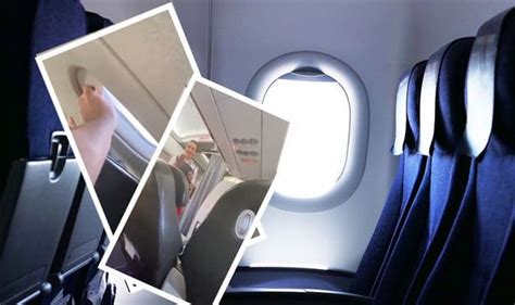 Watch Viral Video Shows Two Men Fighting Over Window On Aeroplane