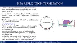 Lecture Dna Replication And Polymerases Pptx