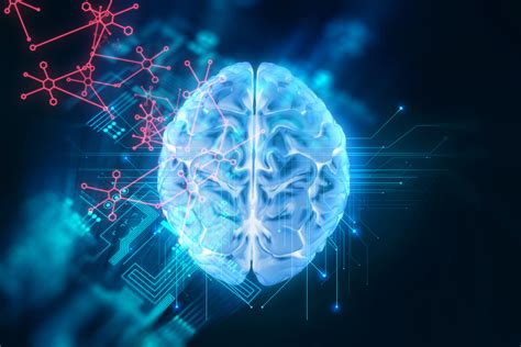 Parkinsons Disease Model Brain Circuit Therapy