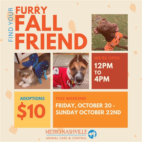 METRO ANIMAL CARE AND CONTROL - Nashville TN - Hours, Directions