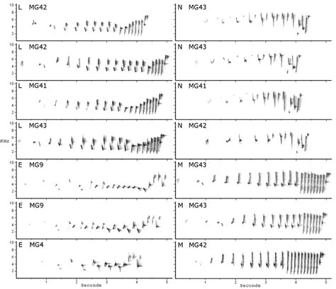 Representative Spectrograms Of Shared Song Types Of A Clamosus Download Scientific Diagram