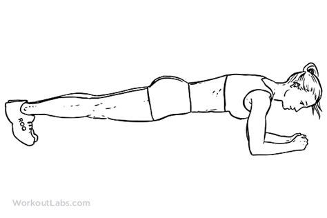 Plank | WorkoutLabs