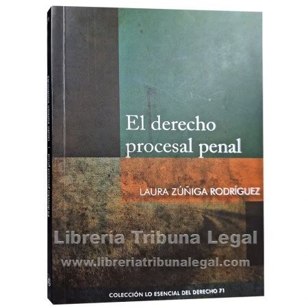 El Derecho Procesal Penal Tomo Lo Esencial