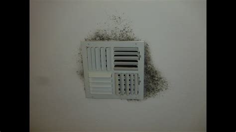 How To Get Rid Of Mold In Air Vents Youtube