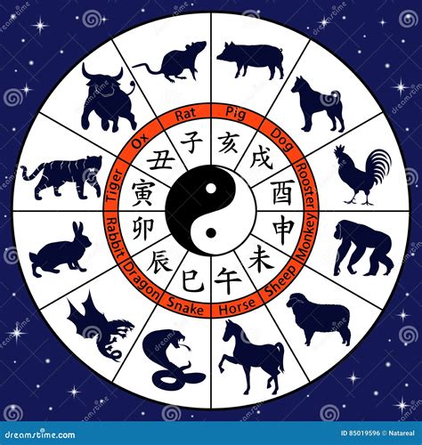 Tiersymbole Des Chinesischen Tierkreises Vektor Abbildung