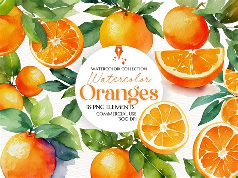 Watercolor Oranges Clipart Set Graphic By HouseOfClipart Creative Fabrica