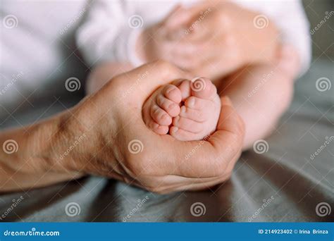 Baby Feet In Great Grandmother Hands Tiny Newborn Baby`s Feet On