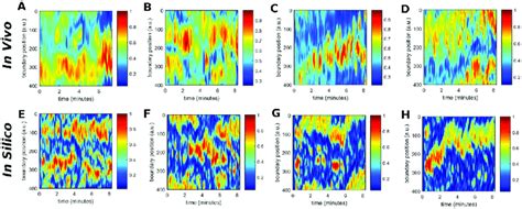 Comparison Of The Spatio Temporal Evolution Of The Concentration Of