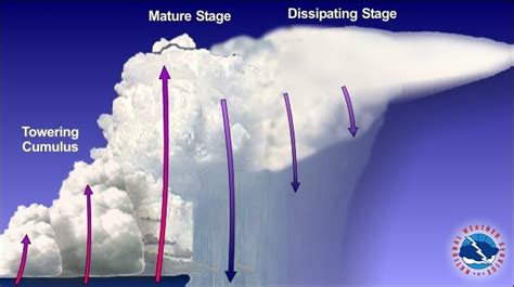 Types Of Thunderstorms National Oceanic And Atmospheric Administration