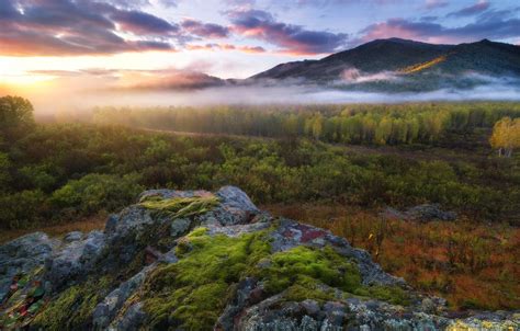 Wallpaper Autumn Forest The Sky Clouds Light Mountains Fog