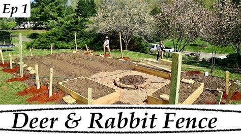 DEER And RABBIT Fence For The GARDEN Episode 1 YouTube