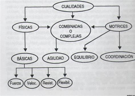 Mapa Conceptual De La Preparaci N F Sica Brainly Lat