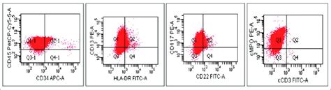 Flow Cytometric Immunophenotyping Of The Bone Marrow Aspirate Showing Hot Sex Picture