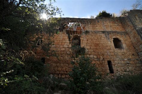 Терра Мистика: Загадки Монфора