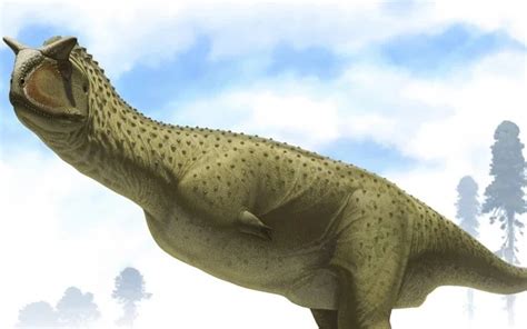 Arjantin de Yeni Keşfedilen Dinozor Fosili Kolsuz Bir Aileye Ait