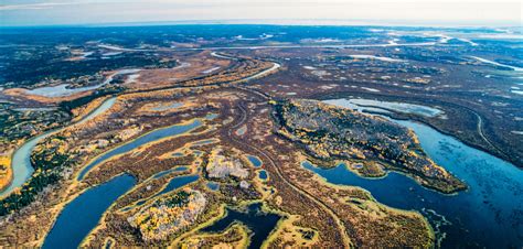 Is Wood Buffalo National Park the largest in Canada?