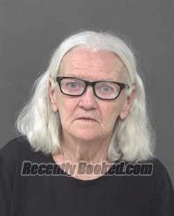 Recent Booking Mugshot For Teresa Ann Arnold In Muskingum County Ohio