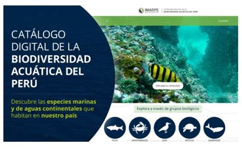 Día Mundial De Los Océanos Conoce Catálogo Digital De La Biodiversidad