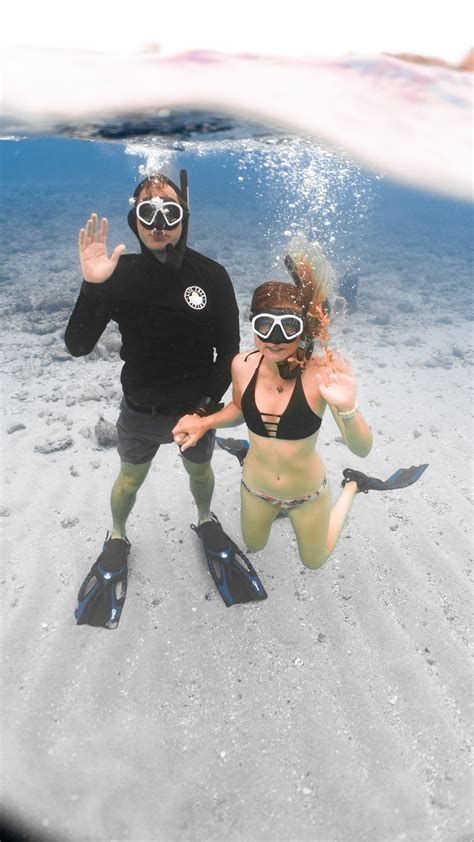 Peanut Island- Snorkeling and Other Things to Do | Live Free Diving