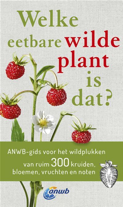 Welke Is Dat Natuurgidsen Anwb Gids Voor Het Wildplukken Van Ruim