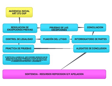 Paso A Paso Audiencia Inicial 372 Cgp Si Dentro De La Audiencia El