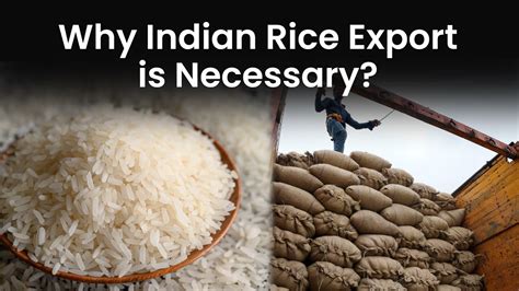 Why Has The Govt Put A Ban On Export Of Non Basmati Rice YouTube