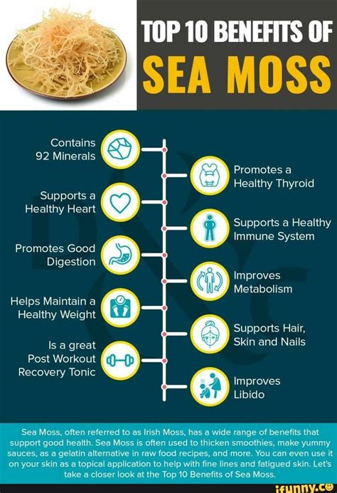 Top 10 Benefits Of Sea Moss Contains 92 Minerals Supports A Healthy