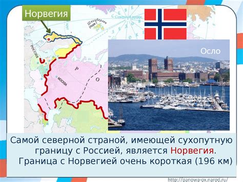 Наши ближайшие соседи - презентация онлайн