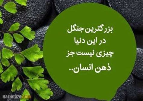 متن درباره جنگل عکس نوشته زیبا درباره جنگل حرف تازه