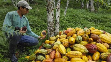 Ecuador Se Posiciona Como Un Referente En La Gestión De Conservación Y Uso Sostenible De Los