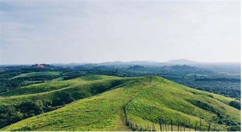 4 Bukit Cantik Di Banjarmasin Yang Wajib Kamu Kunjungi Dekcrayon Tata