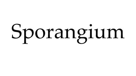 How To Pronounce Sporangium YouTube